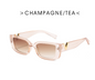 Small Frame Cat Eye Sunglasses — Luxury V-Style | Women & Men