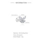 Moissanite Stud Earrings - 925 Sterling Silver, 0.03-1.2ct, D Color, GDTC Certified
