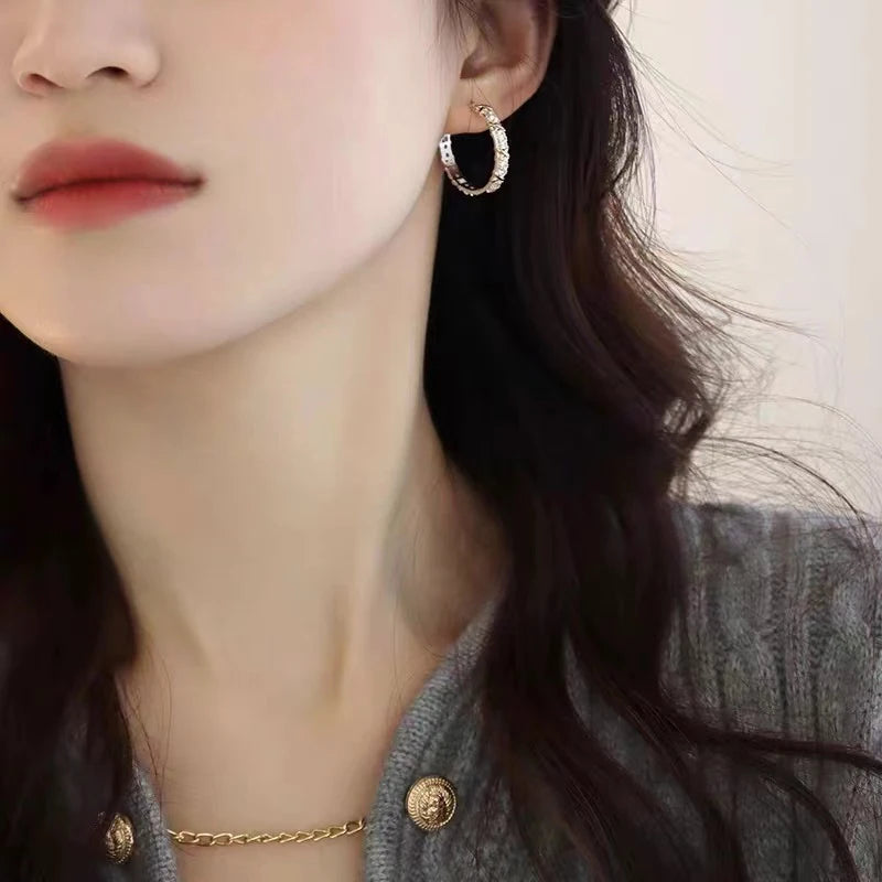 Design  Luxury Zircon Earrings -  Fashionable Gold Silver Metal Accessories for Women