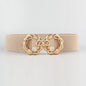 Waist Belt Women's Belt Corset Wide Elastic Dress Belt Luxury Designer Brand Stretch Elastic Wide Corset Metal Buckle Waistband